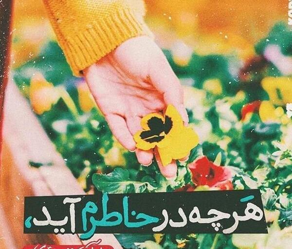عکس نوشته زیبا قدردانی