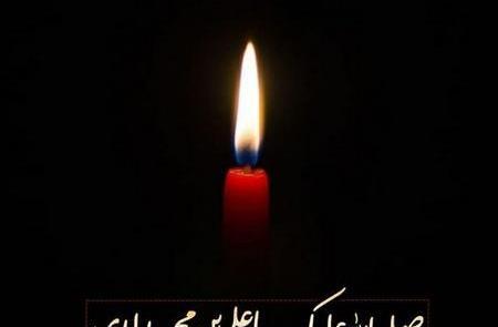 عکس امام علی النقی