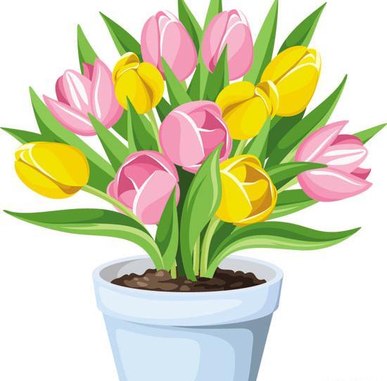 عکس گل لاله کارتونی
