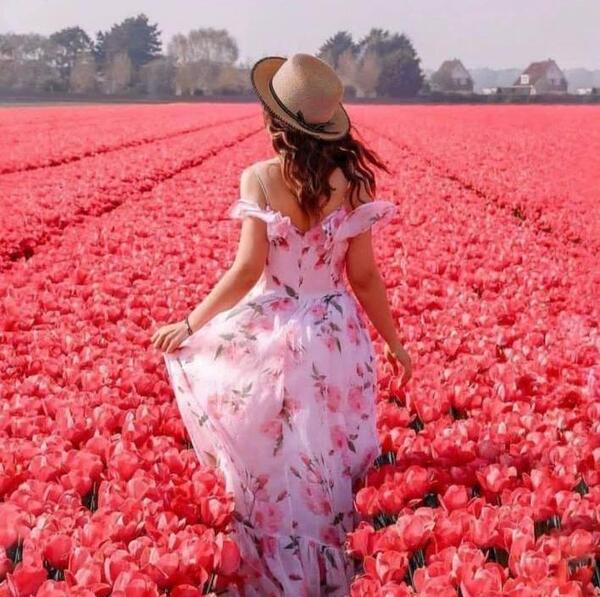 عکس نوشته های گل لاله
