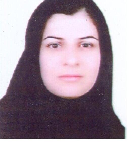 عکس سینا ذوالفقاری