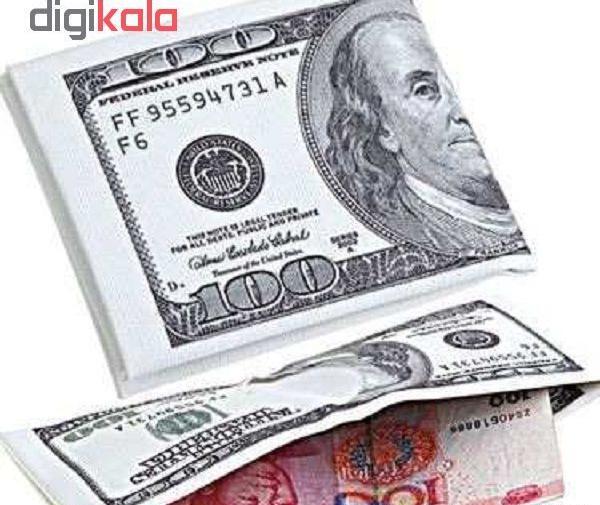 عکس یک کیف دلار