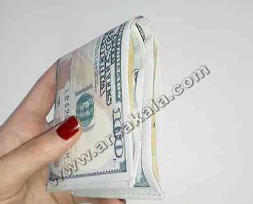 عکس یک کیف دلار