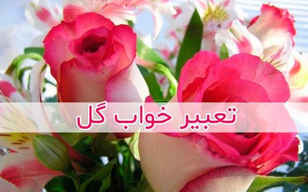 عکس گل نرگس قرمز