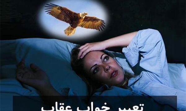 عکس عقاب در قفس