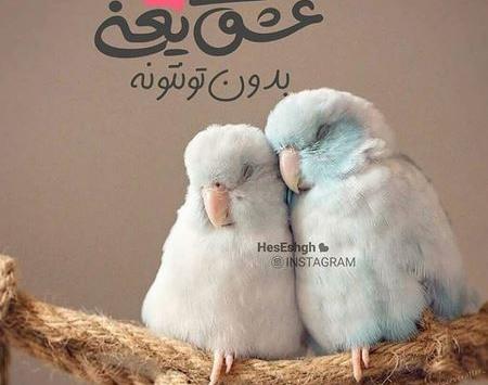 عکس ولنتاین دونفره عاشقانه