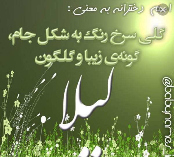 عکس نوشته دوست دارم لیلا