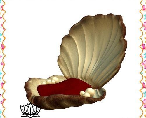 عکس کارتونی صدف و مروارید