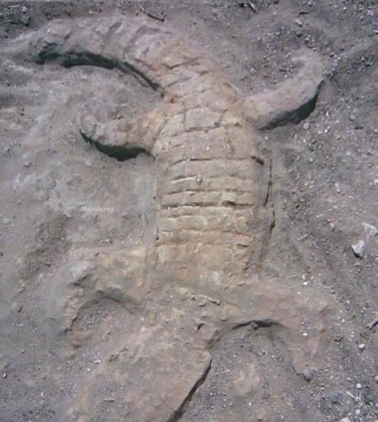 عکس خورشید روی سنگ