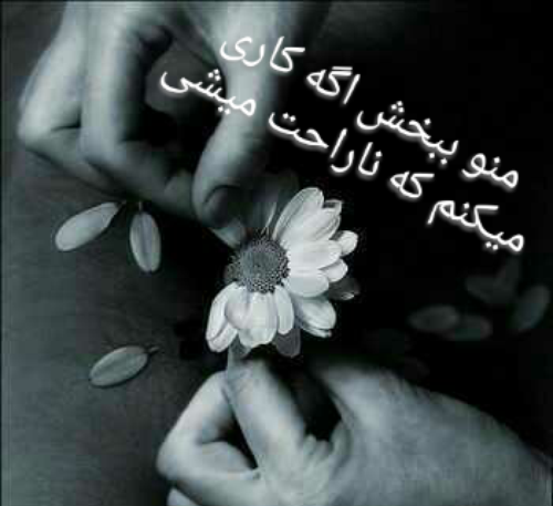 عکس نوشته زهرا منو ببخش