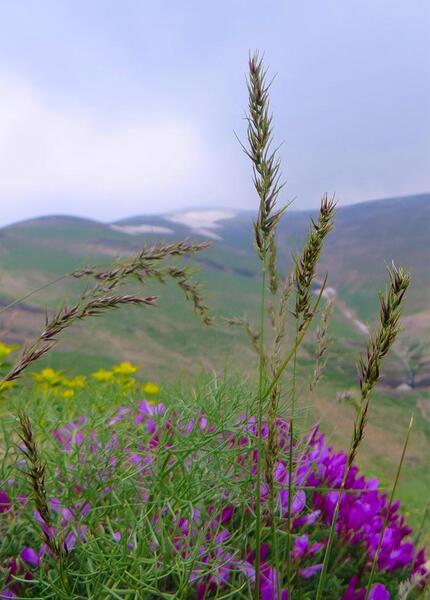 عکس از طبیعت و کوه