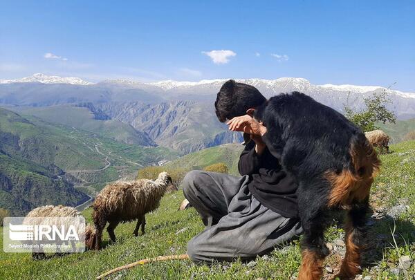 عکس از طبیعت و کوه