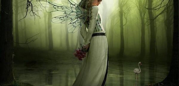 عکس خاص و زیبا بدون متن