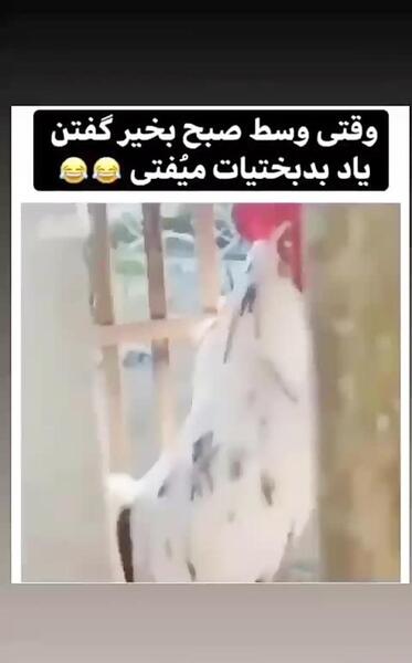 عکس نوشته طنز صبحانه
