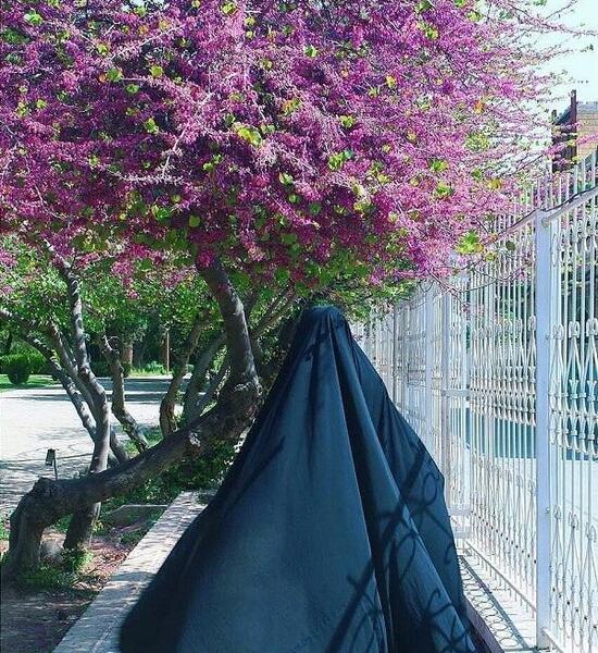 عکس بهاری دختر چادری