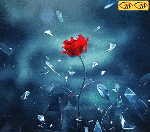 عکس های زیبا متحرک