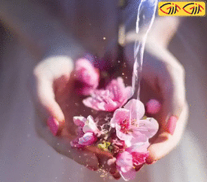 عکس گل های زیبا ی متحرک