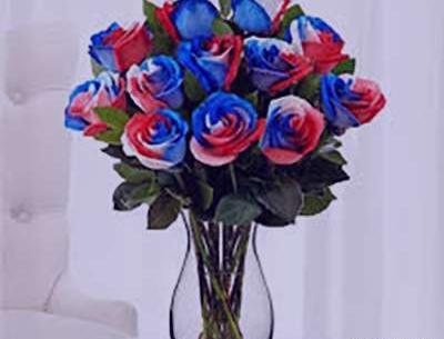 عکس گل های زیبا ی متحرک