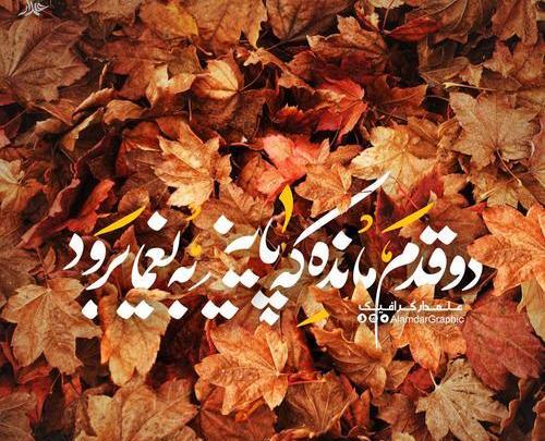 عکس یلدایی پاییزی