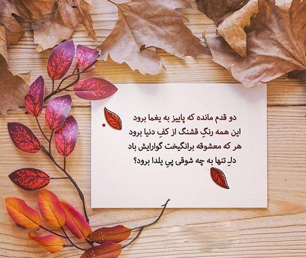 عکس یلدایی پاییزی