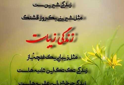 عکس نوشته زندگی شیرین