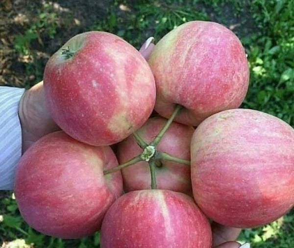 عکس های خنده دار عجیب غریب