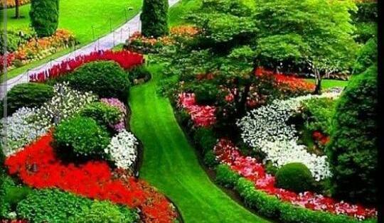 عکس شادی در طبیعت