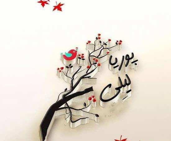 عکس نوشته پوریا و سمیه