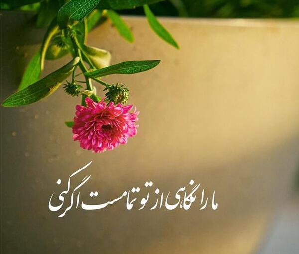 عکس خدا پناهم باش