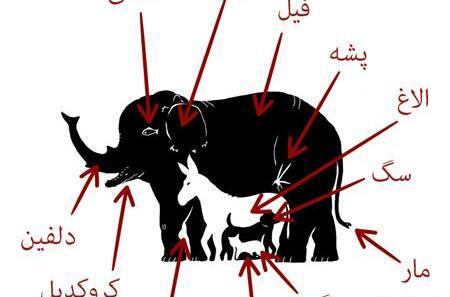 عکس های جالب ذهنی