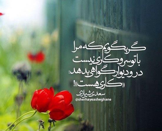 عکس نوشته مطالب عرفانی