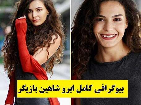 عکس شاهین ترکی