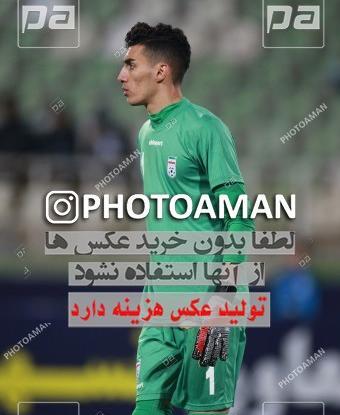 عکس امیرحسین نیک پور