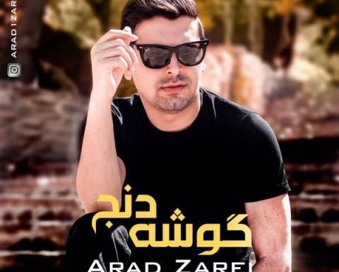 عکس آراد زارعی