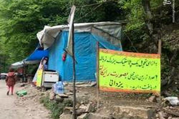 عکس از طبیعت پاک