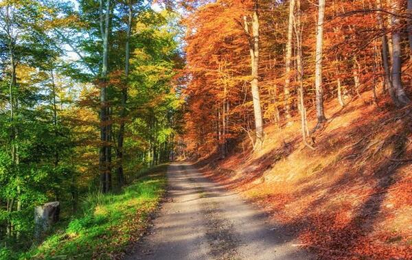 عکسهای منظره زیبا برای فتوشاپ