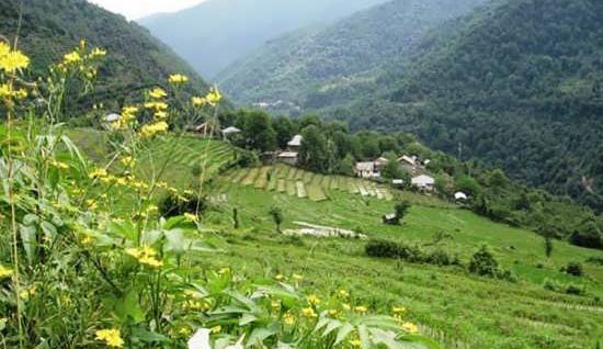 عکس منظره زیبای شمال