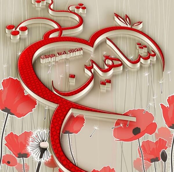 عکس نوشته شاهین تولدت مبارک