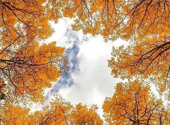 عکس زیبا پروفایل پاییزی