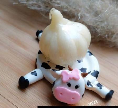 عکس گاو سفره هفت سین