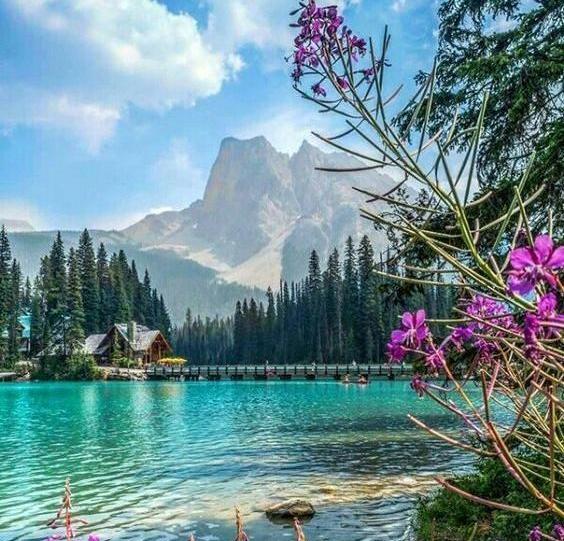عکس طبیعت زیبا برای پروفایل