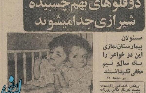 عکس قبر لاله و لادن