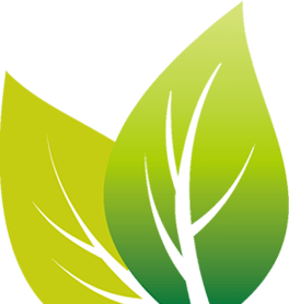 عکس پوریا آیتی