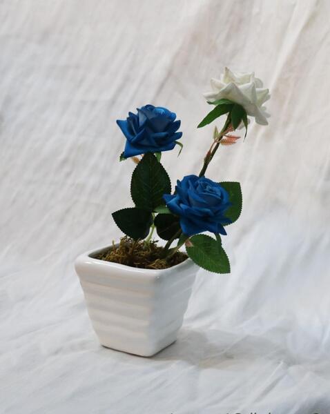 عکس دسته گل فرانسوی