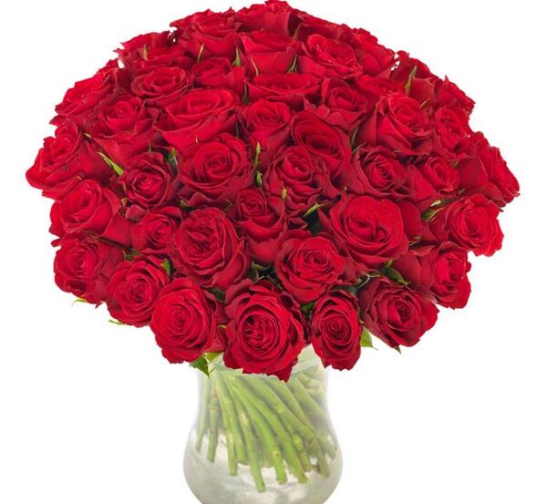 عکس دسته گل فرانسوی
