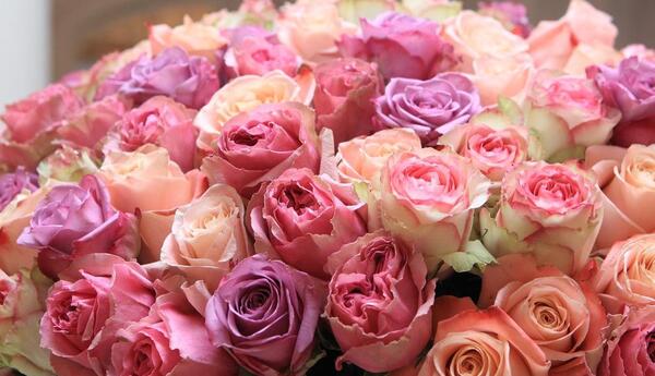عکس دسته گل فرانسوی