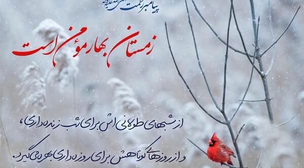 عکس نوشته زمستان بهار مومن است