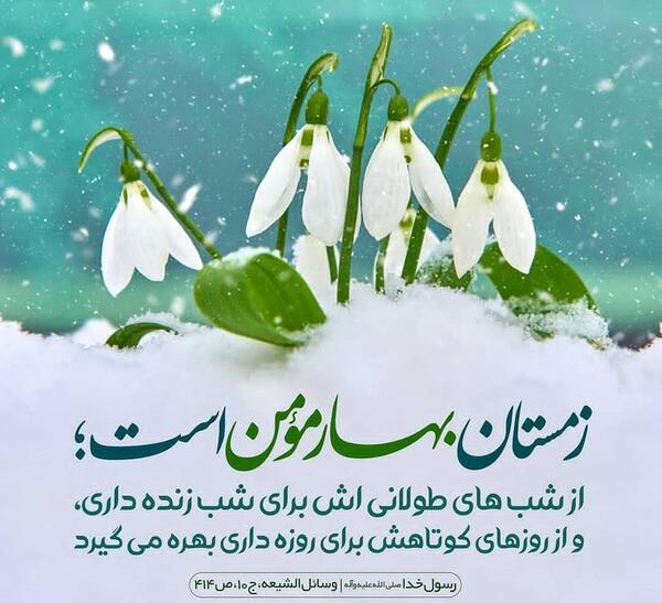 عکس نوشته زمستان بهار مومن است