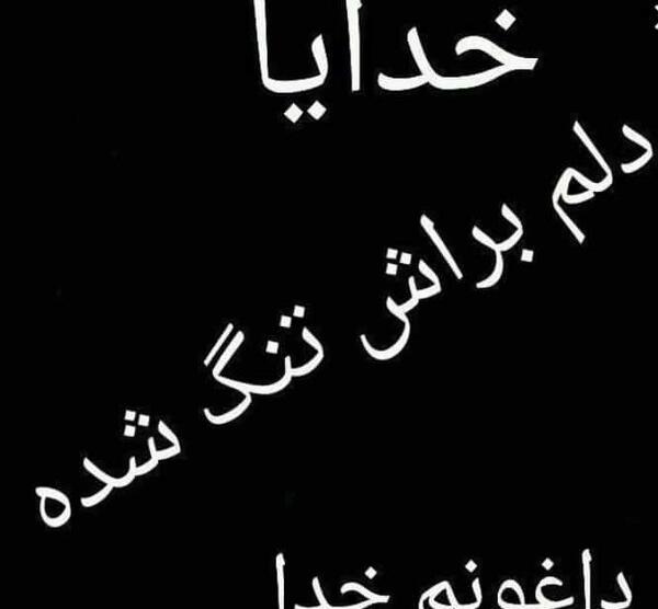عکس رفیق روحت شاد