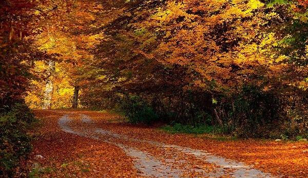 عکس زیبا طبیعت پاییزی